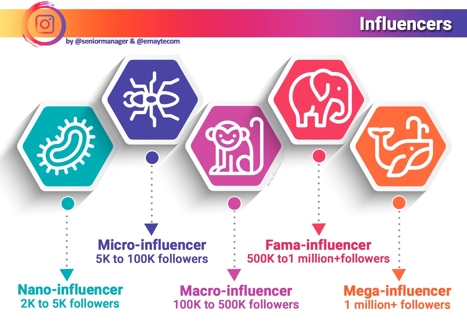 Los 5 tipos o categorías de influencers en Instagram | The Plan Company